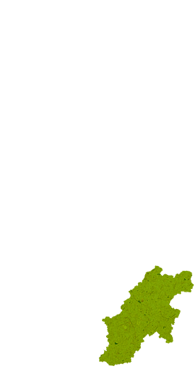 ご宴会にもおすすめ!