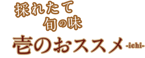 壱のおすすめ