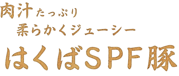 肉汁たっぷり